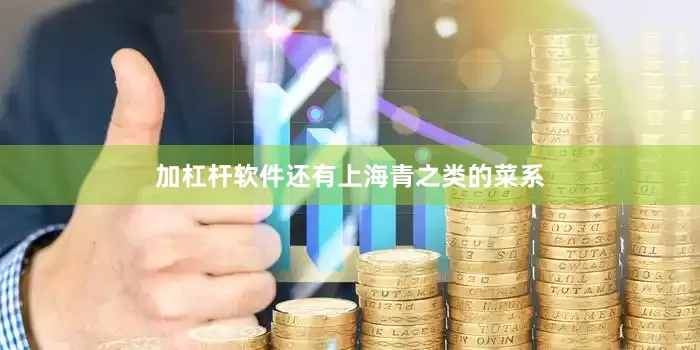 加杠杆软件还有上海青之类的菜系