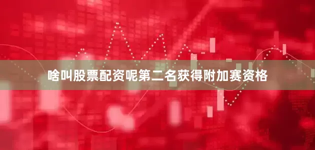 啥叫股票配资呢第二名获得附加赛资格